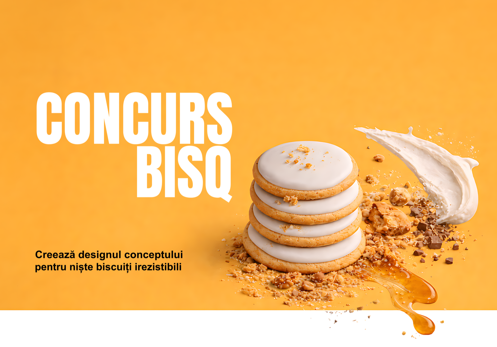 CONCURS BISQ