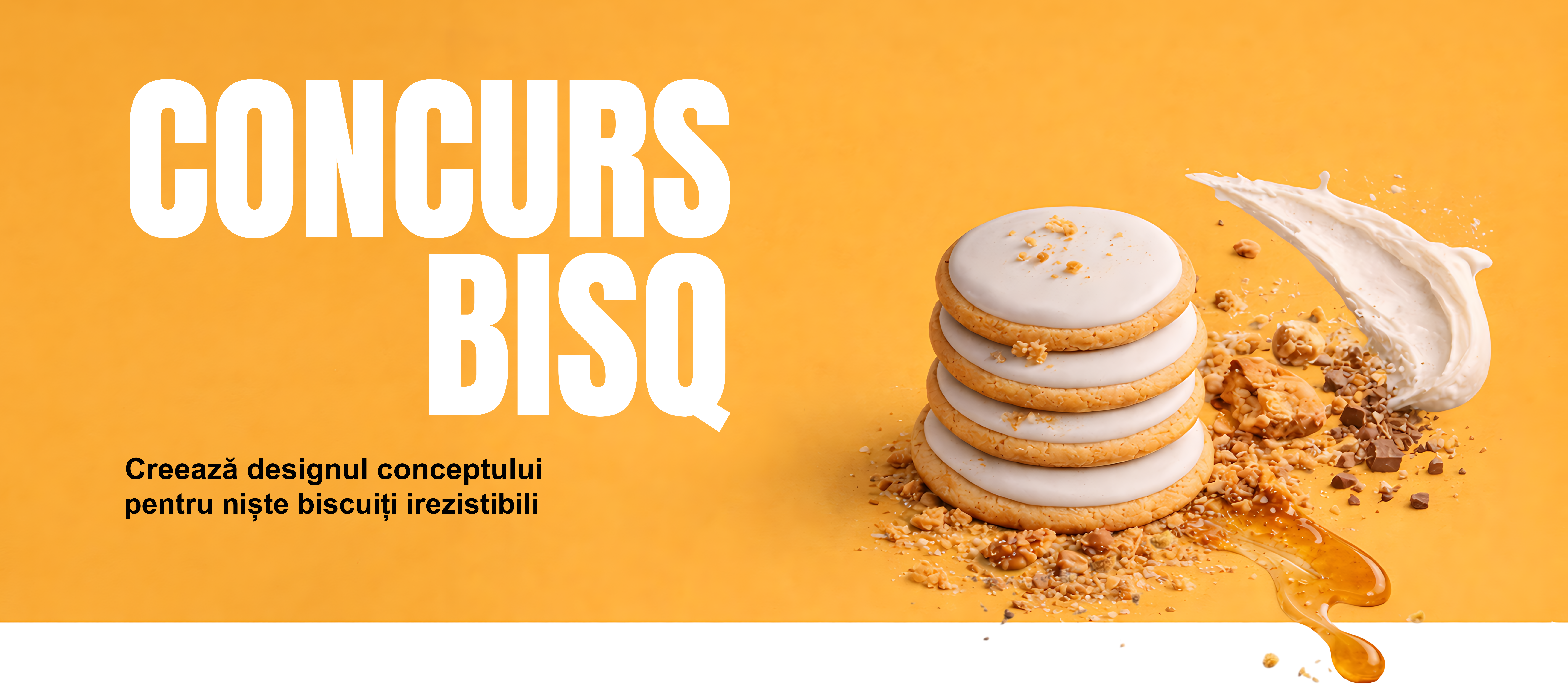 CONCURS BISQ